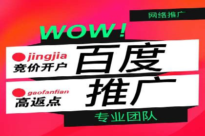 百度推广费用标准案例分析